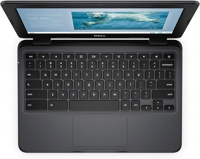 Dell Chromebook 3100 Laptop (2019) | 11.6" HD | Core Celeron - 16GB SSD - 4GB RAM