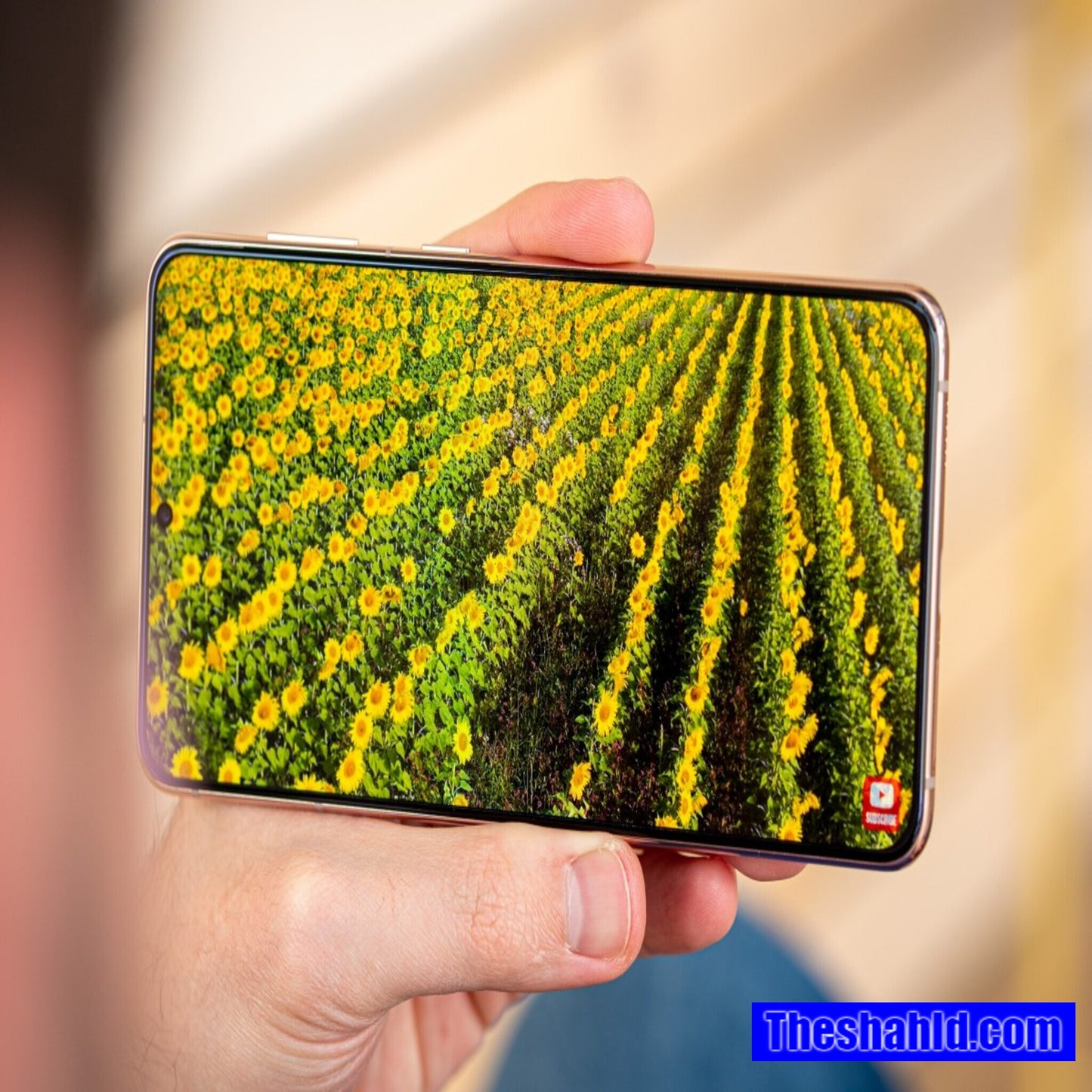 Samsung Galaxy S21+