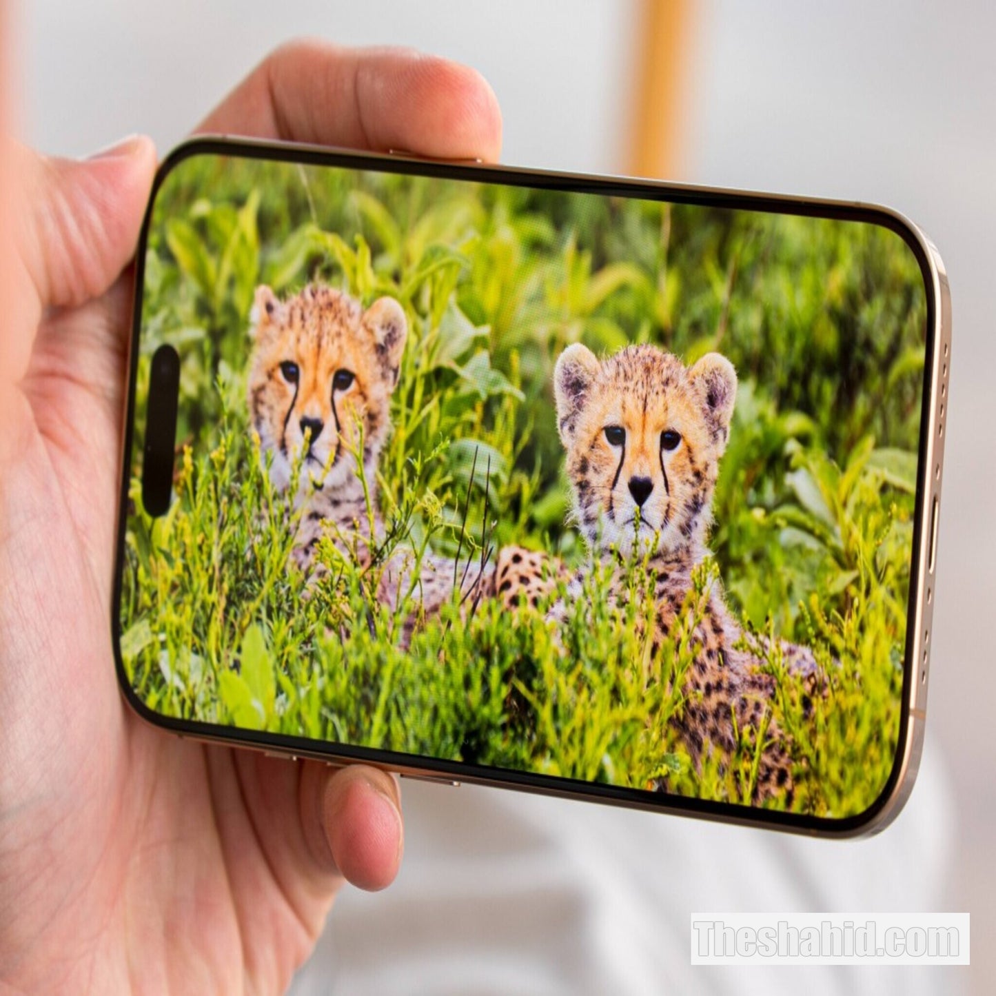 Apple iPhone 16 Pro