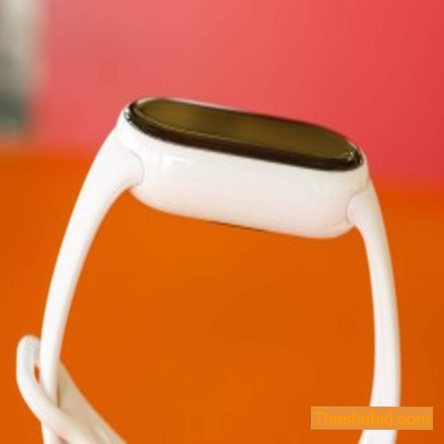 Xiaomi Smart Band 10